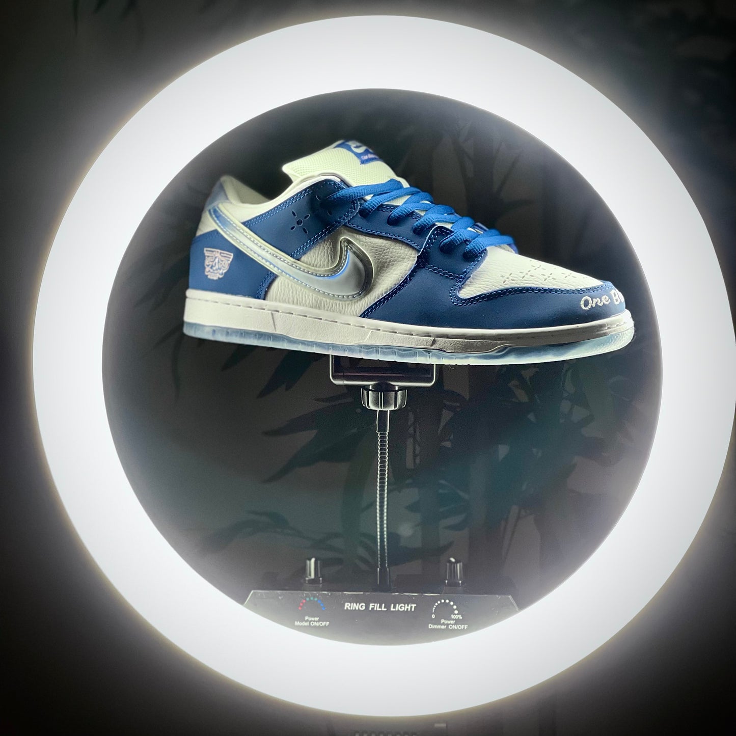 Dunk SB Born X Raised One Brick At A Time at The Treasury By Tahzir_2