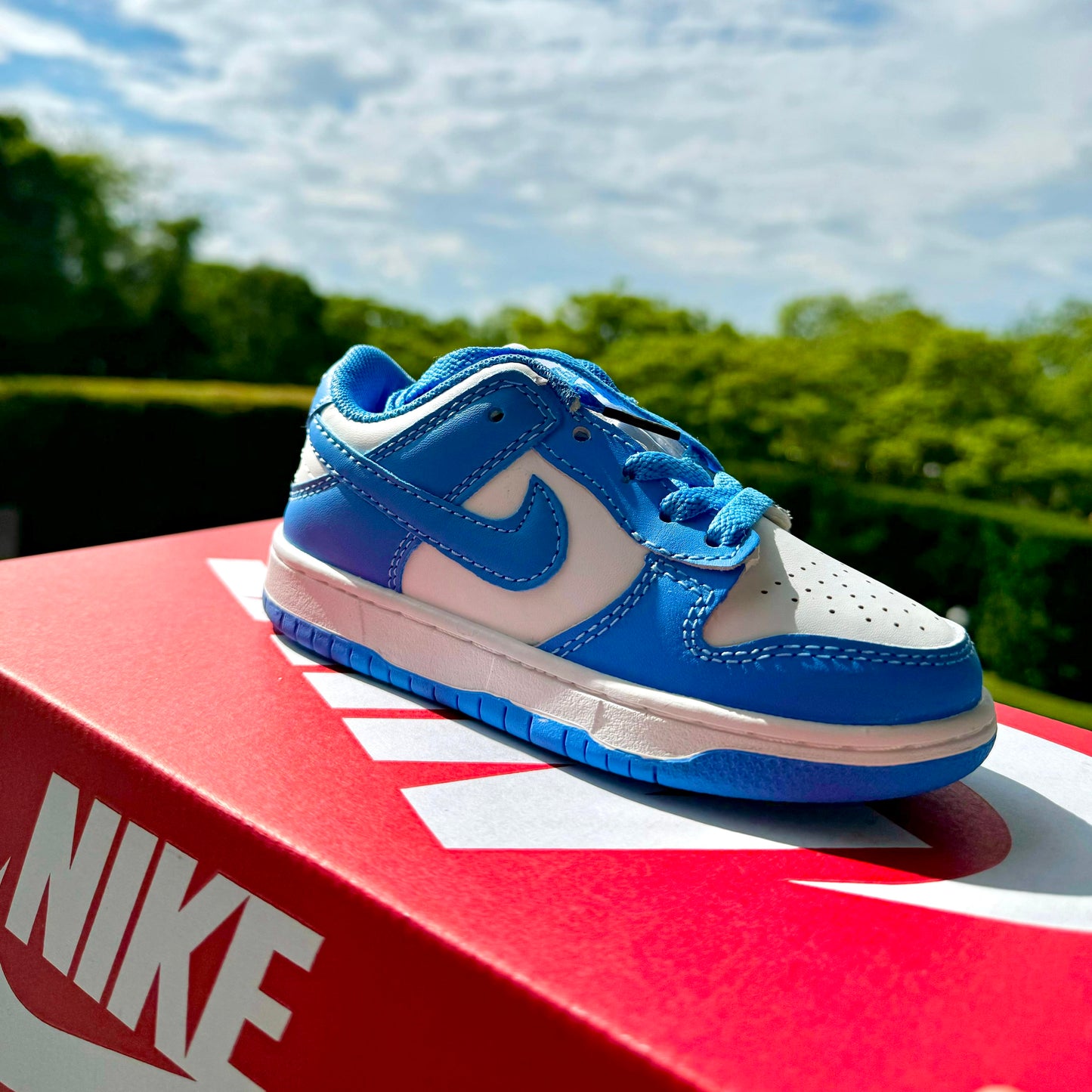 Dunk Low PS - 'University Blue' - The Treasury By Tahzir | Online - 1