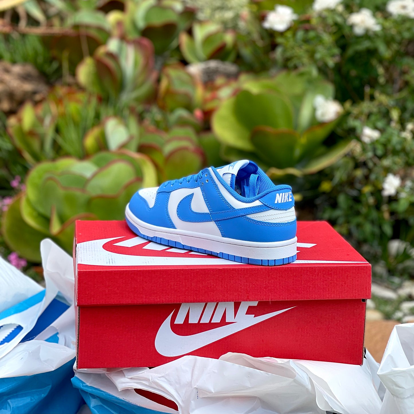 Dunk Low - 'University blue' - The Treasury By Tahzir | Online - 2