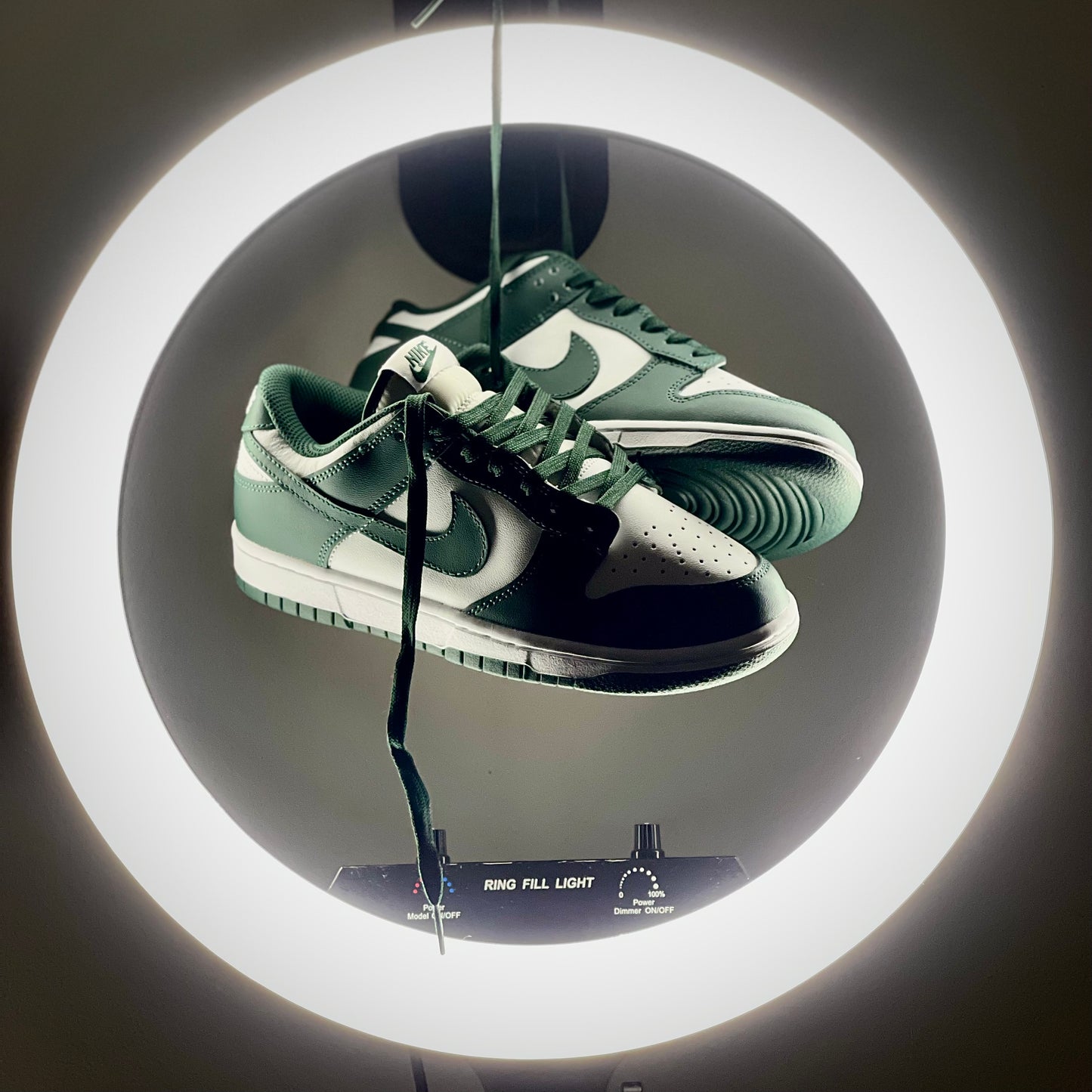 Dunk Low Michigan State at The Treasury By Tahzir_1