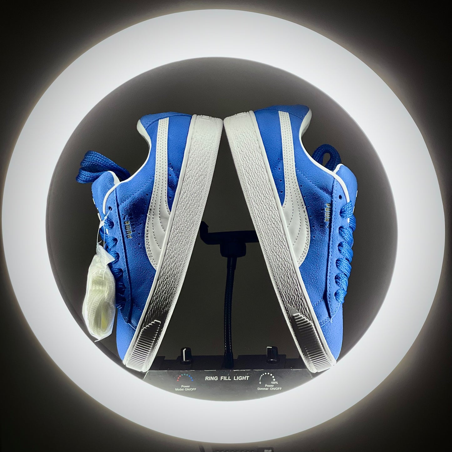 Suede XL Game Royal at The Treasury By Tahzir_3