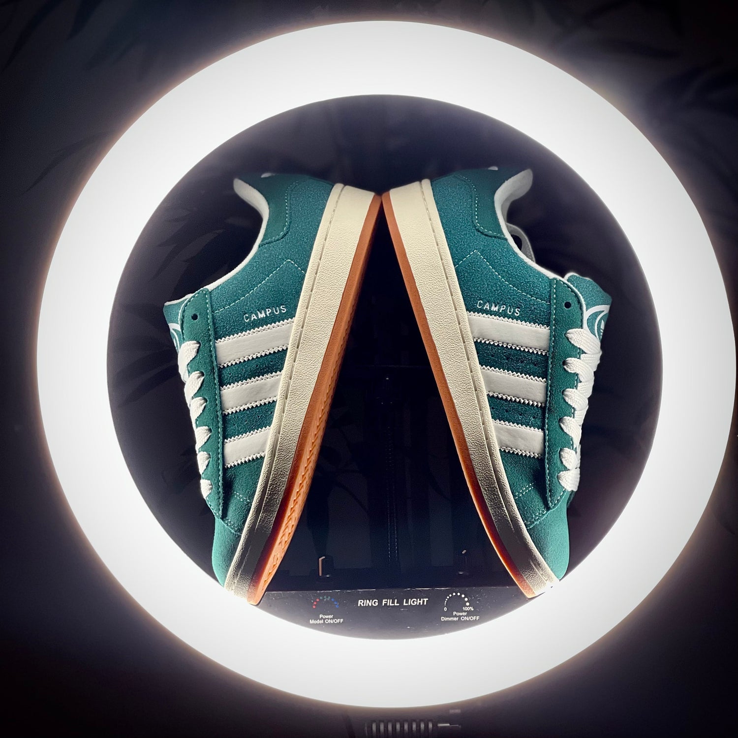Adidas Campus 00's Dark Green Gum sneaker featured as the collection image for the Campus Collection at The Treasury.