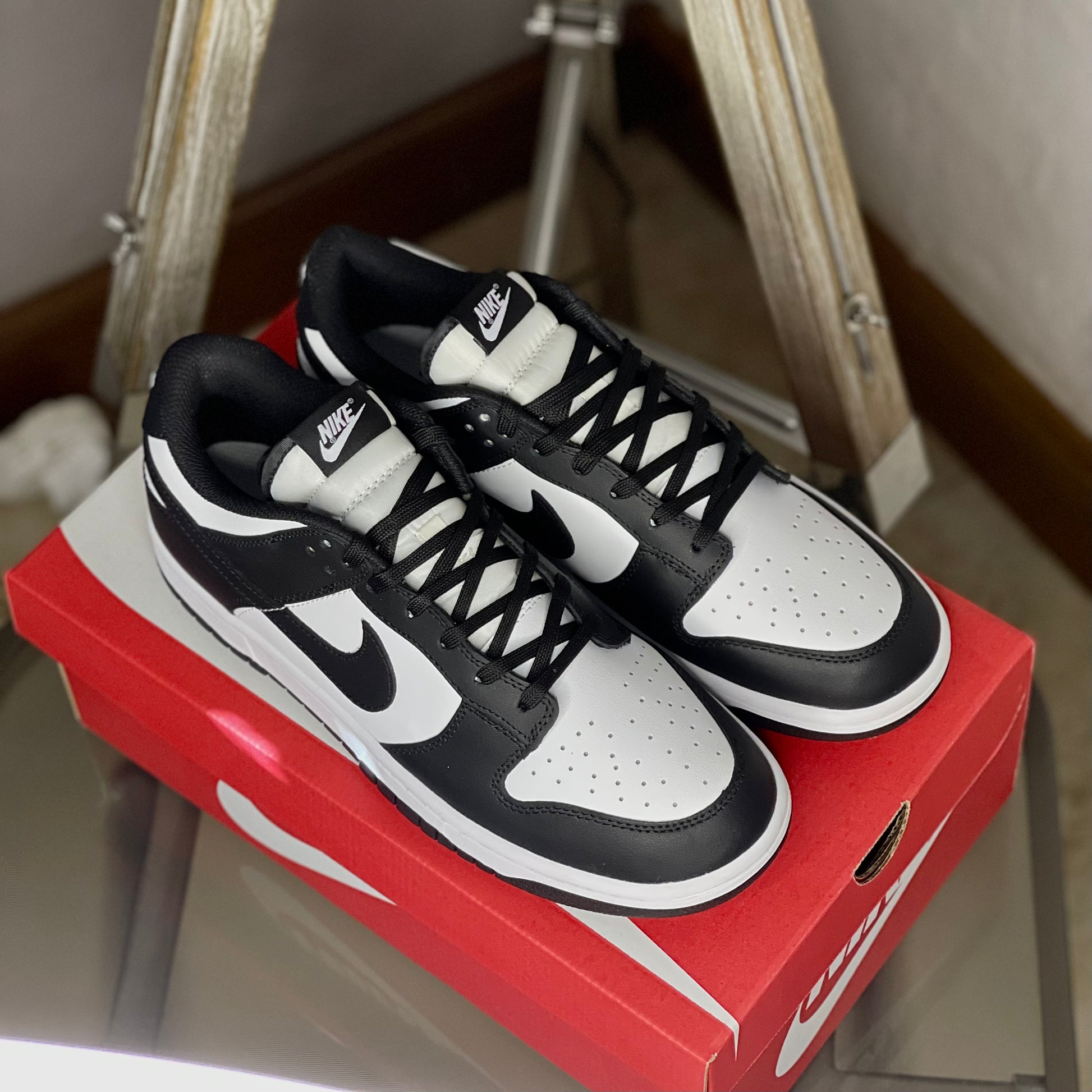 Top view of Nike Dunk Low Panda — white leather base with black overlays and tonal laces