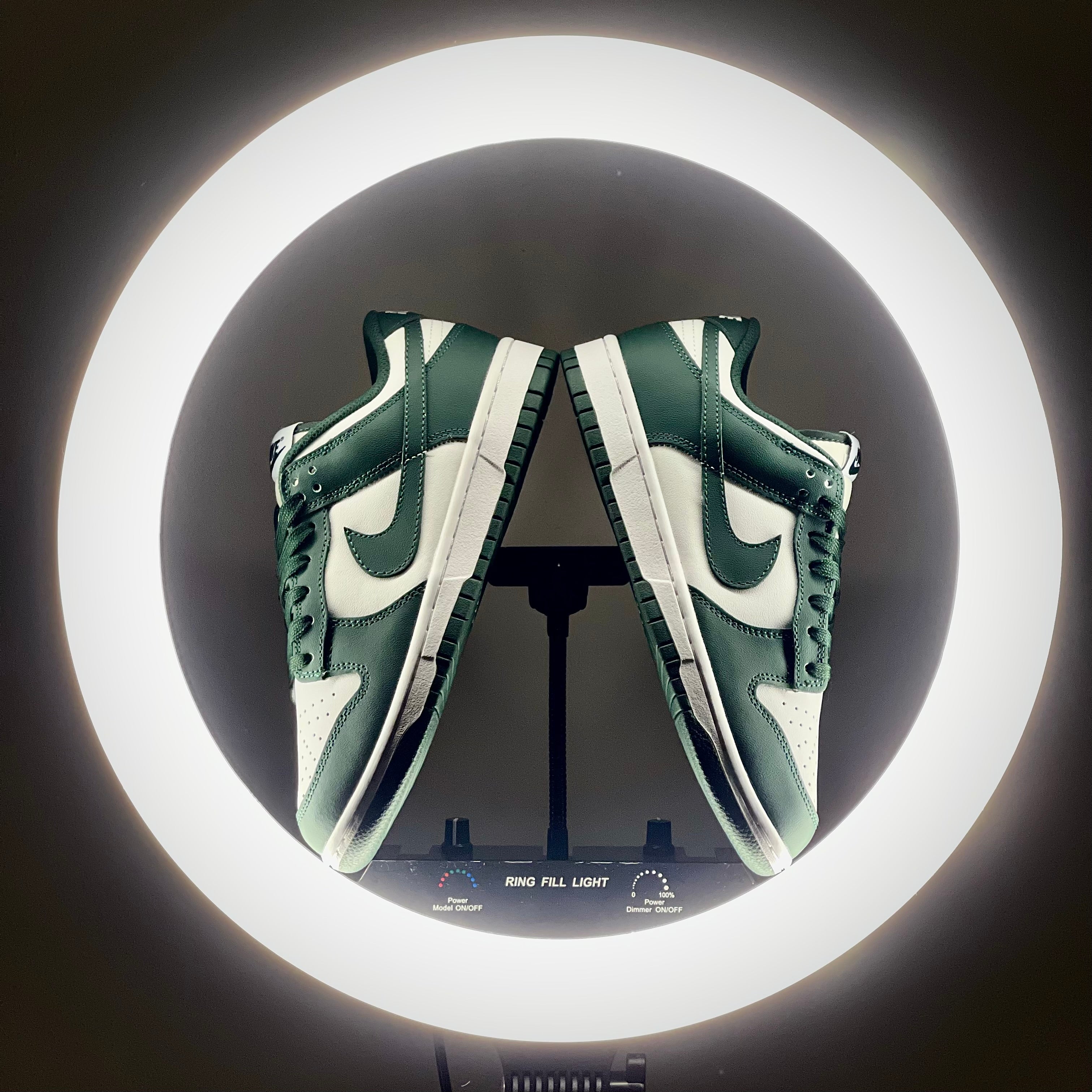 Dunk Low Michigan State at The Treasury By Tahzir_3