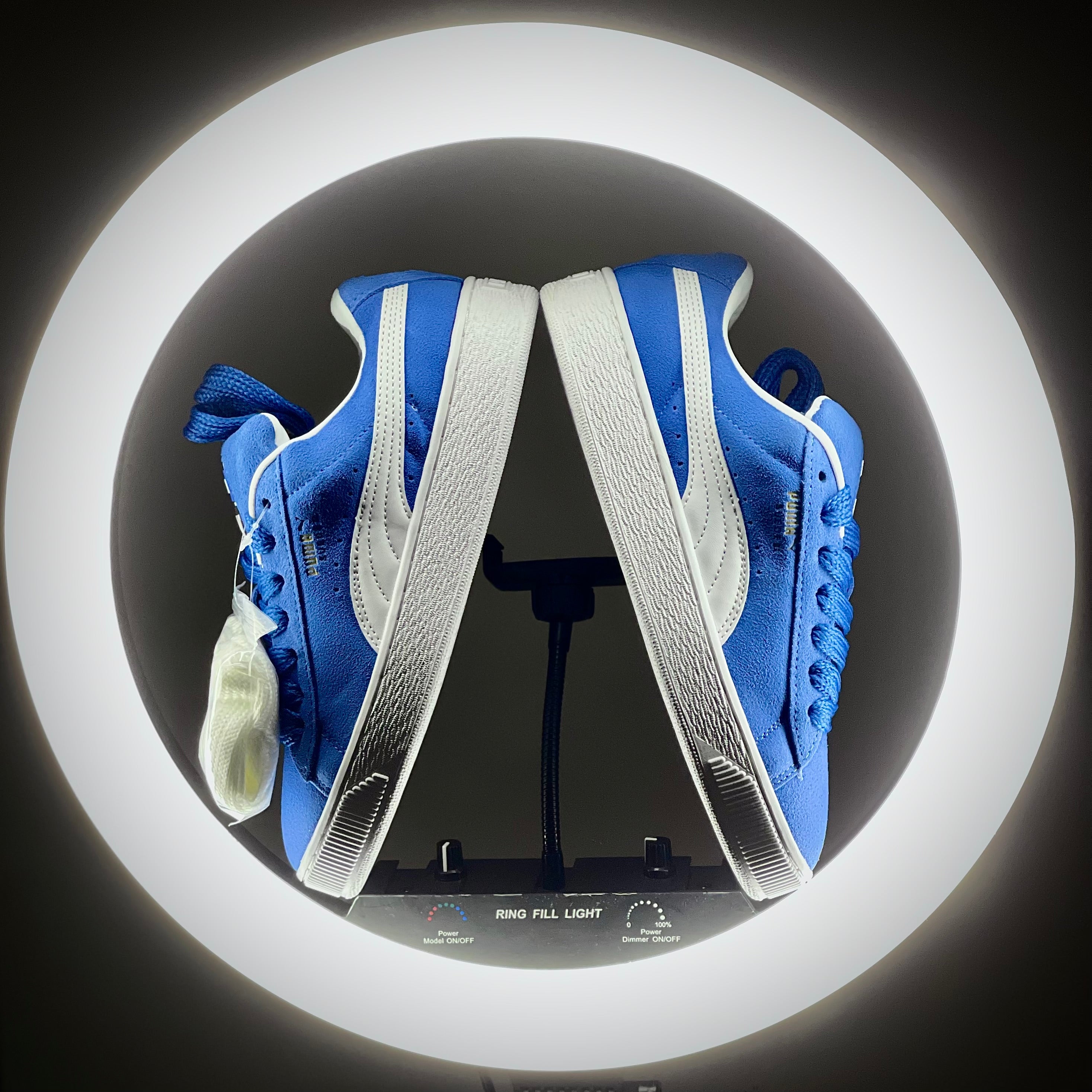 Suede XL Game Royal at The  Treasury By Tahzir_3